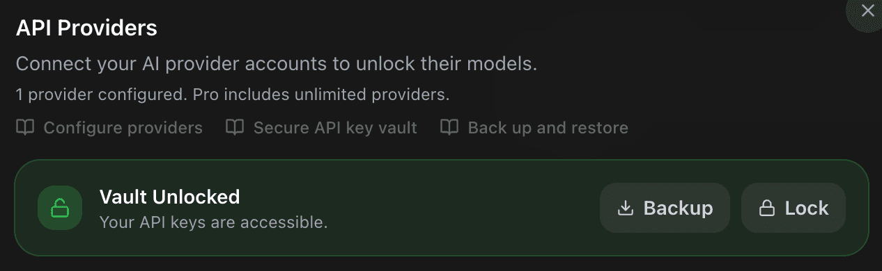 EidoStack Providers settings showing the unlocked vault and provider key fields.