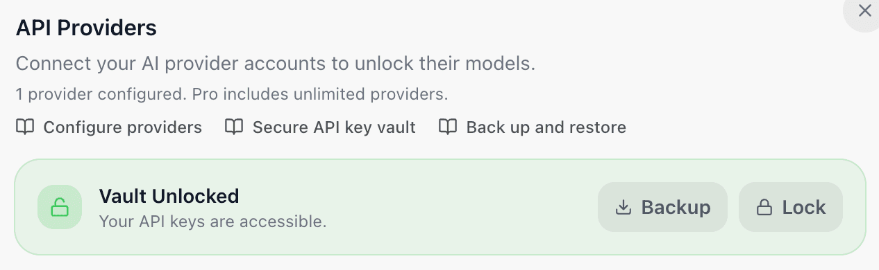 EidoStack Providers settings showing the unlocked vault and provider key fields.